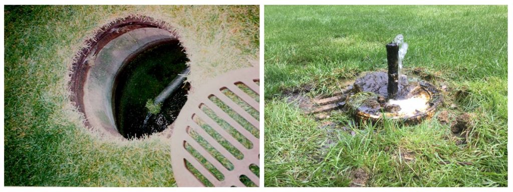 The photograph on the left shows a storm drain (cover off) with water flowing through it. Highland Spring flows through the drain. The photograph on the right shows Highland Spring flowing up through a black standpipe encased with tufa deposits. 