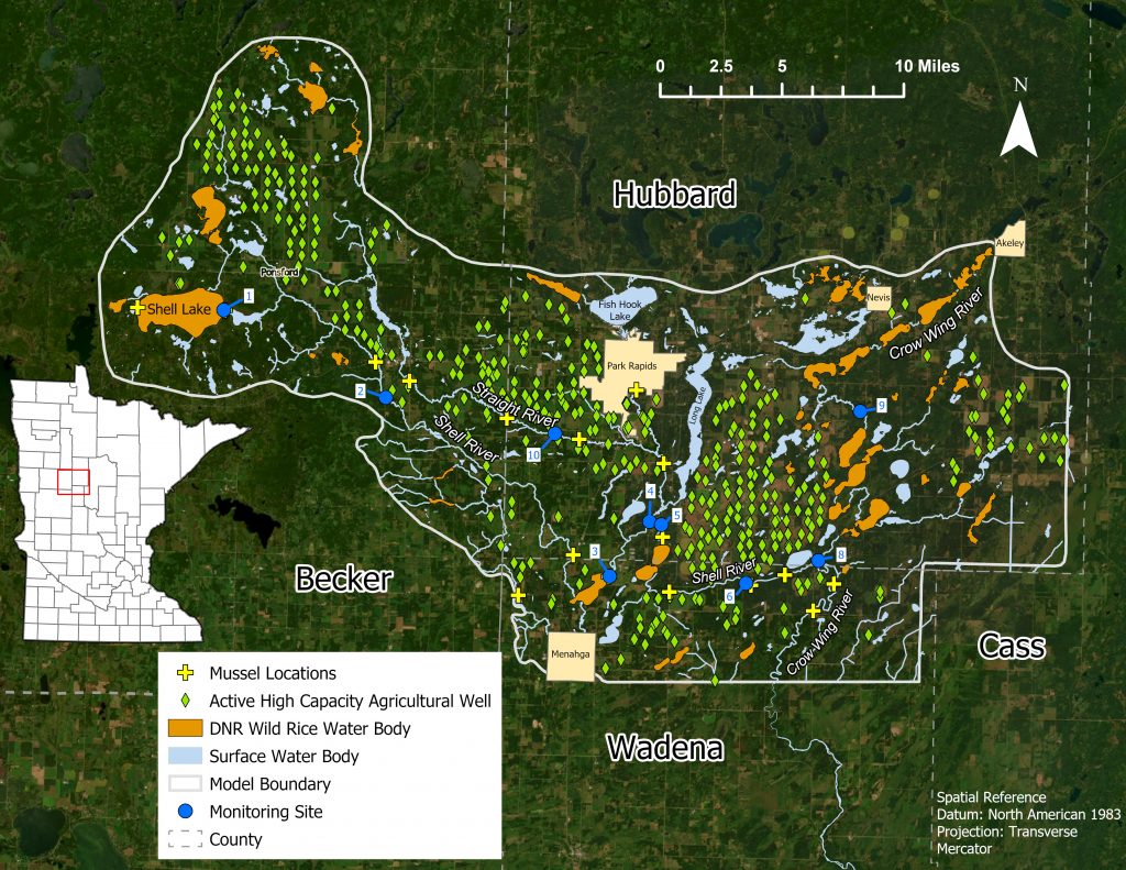 Graphic showing the area encompassed by the groundwater flow model along with mussel locations, active high-capacity agricultural wells, and wild rice bodies.